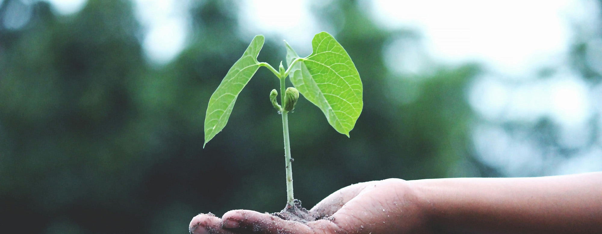 Earth Day is an annual event celebrated on April 22nd to demonstrate support for environmental protection and raise awareness about environmental issues. First observed in 1970, Earth Day is now recognised globally by millions of people in over 190 count…