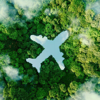 lake the shape of airplane in woods