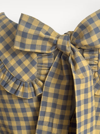 The Gingham Violet Collar Dress
