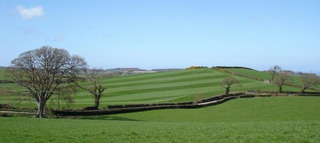 photo of green field