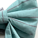 Soft Turquoise Stripe