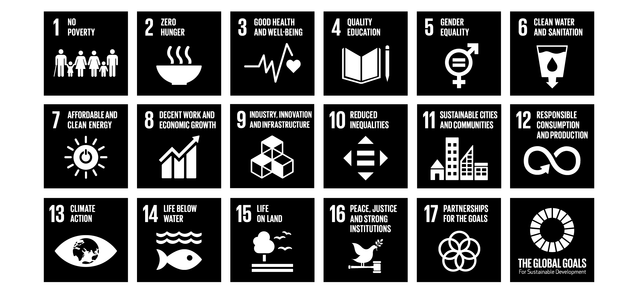 The Well Worn grid UN sustainability goals
