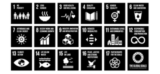 grid UN sustainability goals